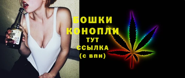 трава Арсеньев